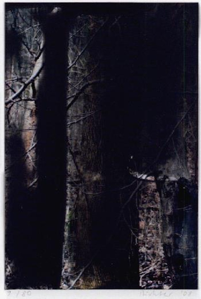 Wald II by Gerhard Richter