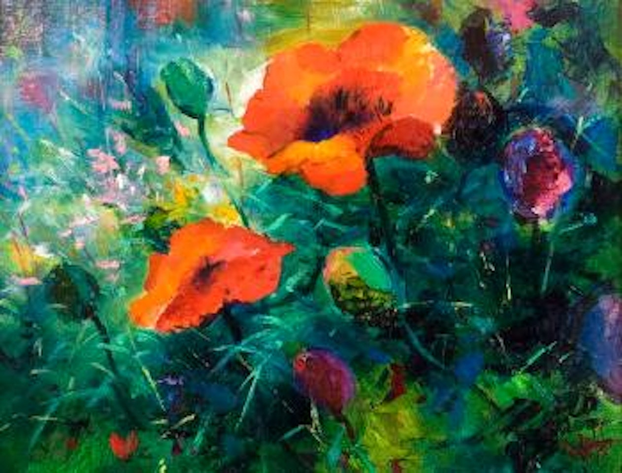Poppy by Kenneth Webb