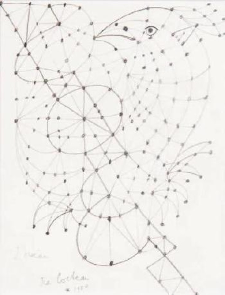 L'oiseau by Jean Cocteau