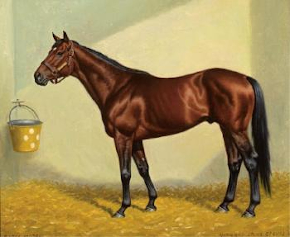 Bates Motel, champion older horse by Richard Stone Reeves