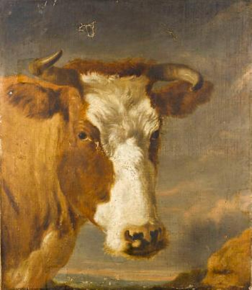 The head of a bull by Nicolaes Pietersz Berchem
