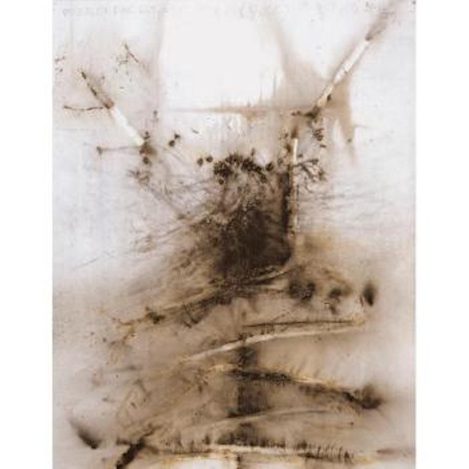 Project For Extraterrestrials No. 5-8: Fetus Movement by Cai Guo-Qiang