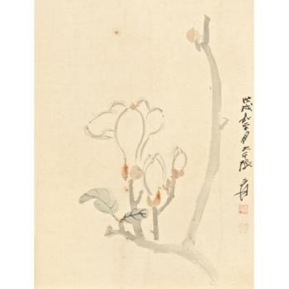 Magnolia by Zhang Daqian