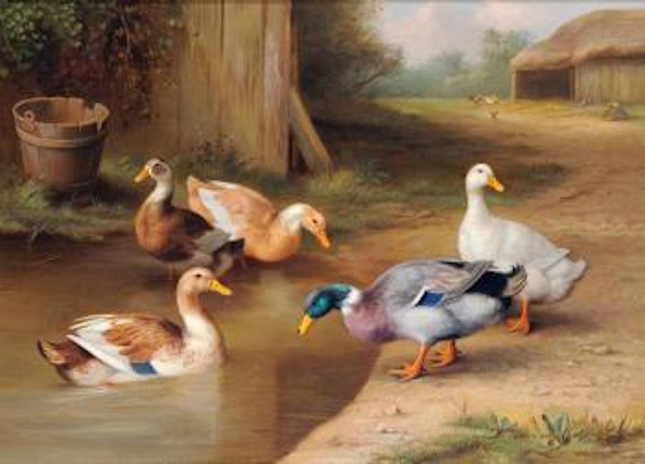 A mallard and ducks by a pond by Edgar Hunt