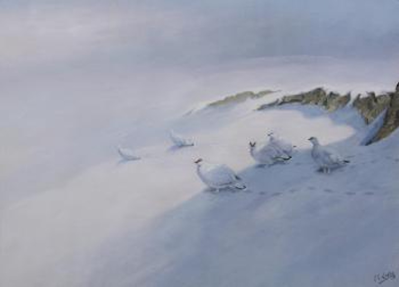 Ptarmigan in the snow by George Edward Lodge