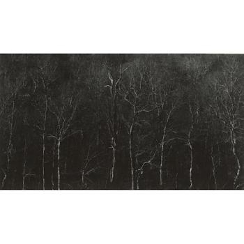 New Hampshire by Harry Callahan