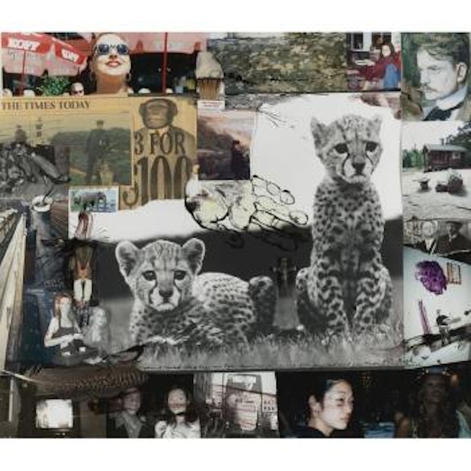 Orphaned Cheetah Cubs @ Meiga Near Nyeri, March 1968; For The End Of The Game/Last Word From Paradise by Peter Beard