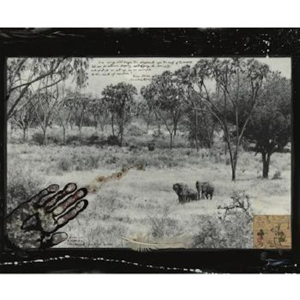 Amboseli Elephants (Tsavo Before The Die-off, Tsavo North) by Peter Beard