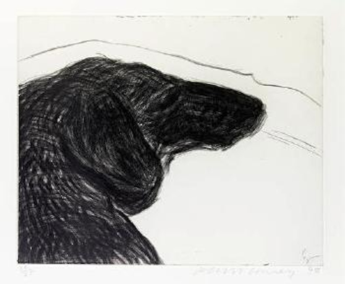 Dog etching No. 11, from Dog Wall by David Hockney