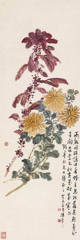 Chrysanthemum by Chen Banding