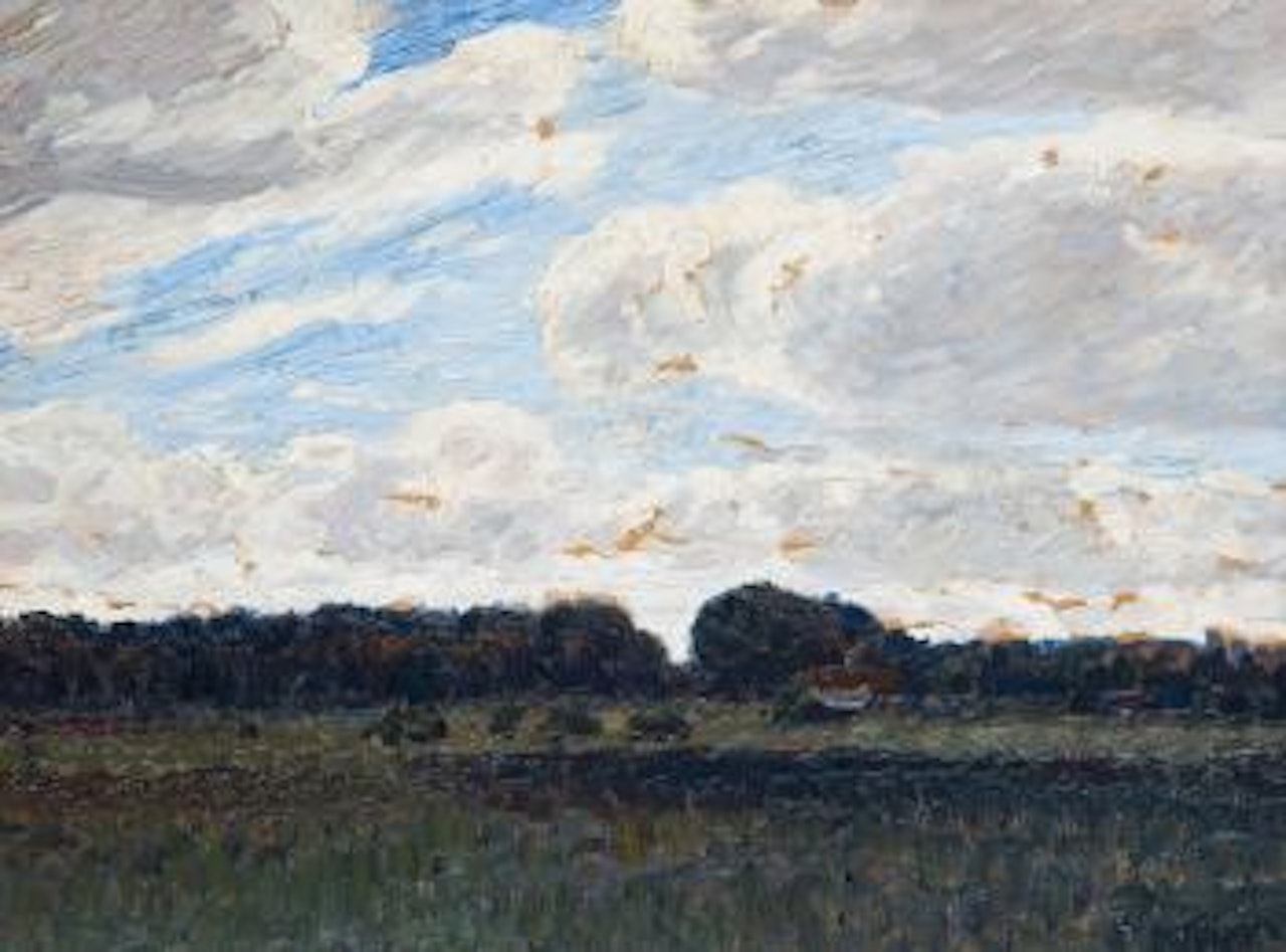Hammeniederung unter hohem Himmel by Hans am Ende