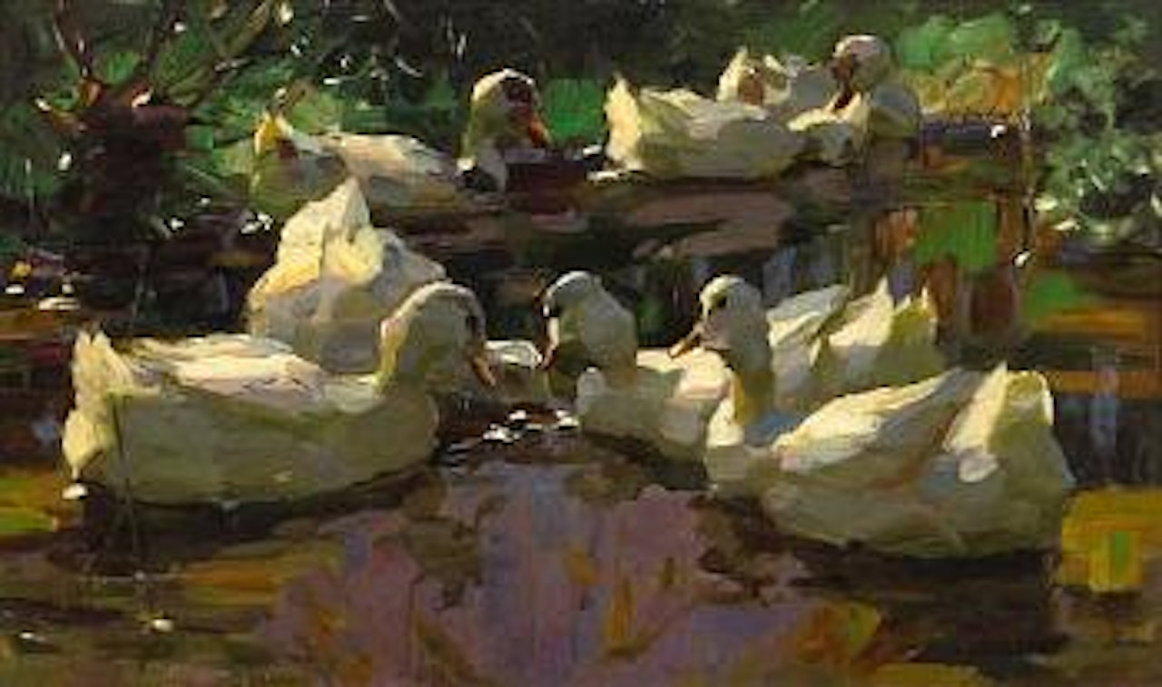 Ducks in a pond (busy-bodies) by Alexander Koester