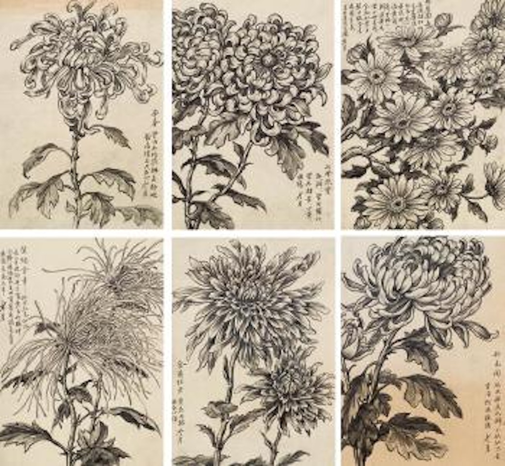 Chrysanthemum by Lengyue Tao