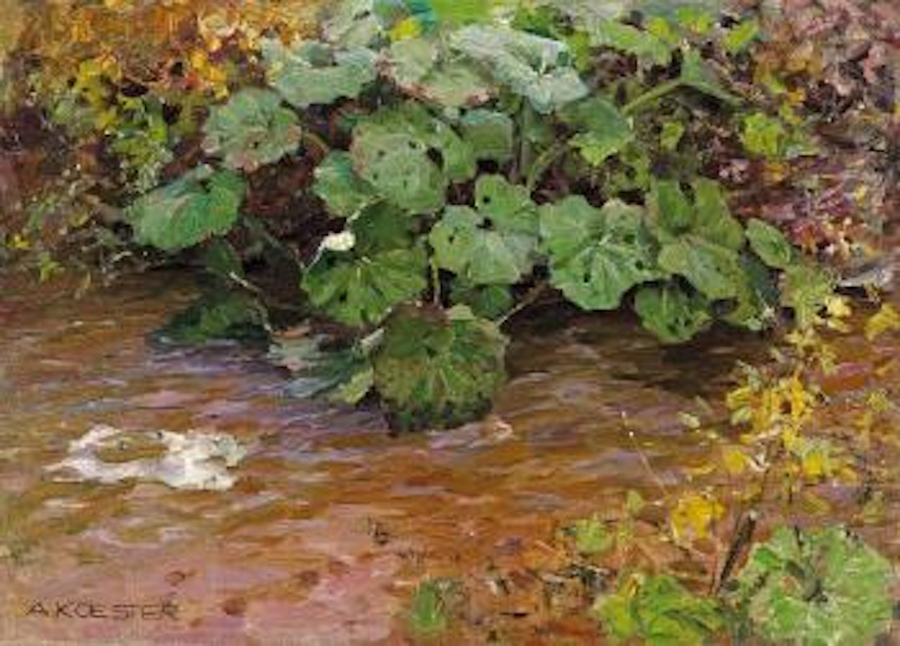 Pflanzen am Wasser by Alexander Koester