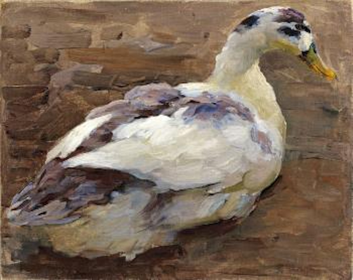 Entenstudie by Alexander Koester