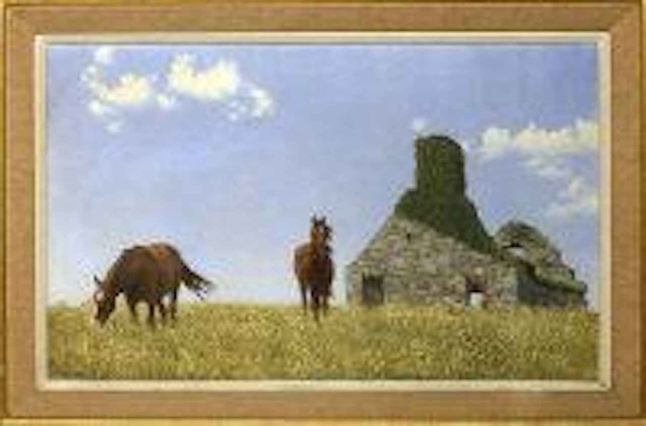 Horses grazing at James's fort, Kinsale, Co. Cork by Patrick Hennessey