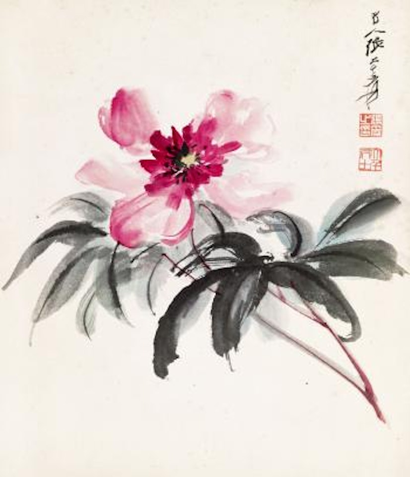 Peony by Zhang Daqian