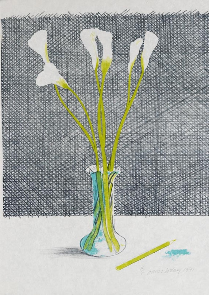 Lillies (Still life) by David Hockney
