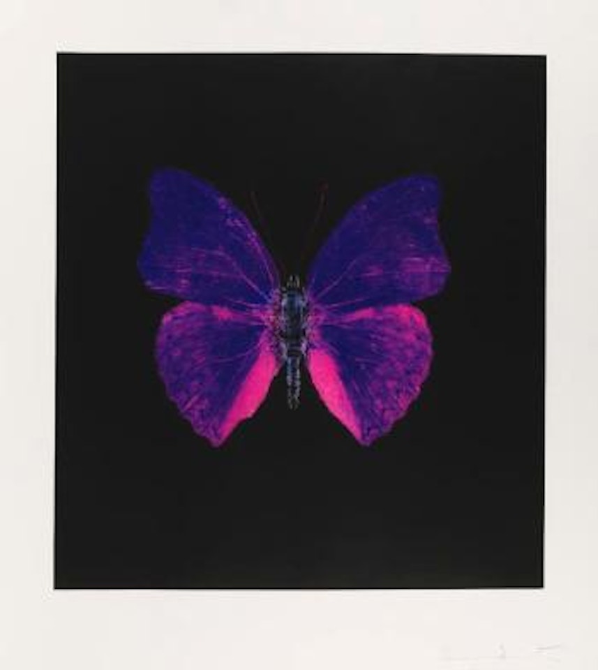Aus: The souls on Jacob's ladder take their flight by Damien Hirst