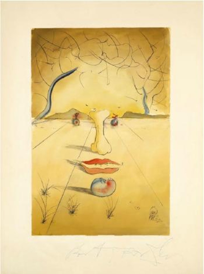 Visage surréaliste by Salvador Dali