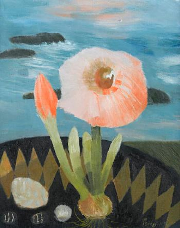 Amaryllis by Mary Fedden