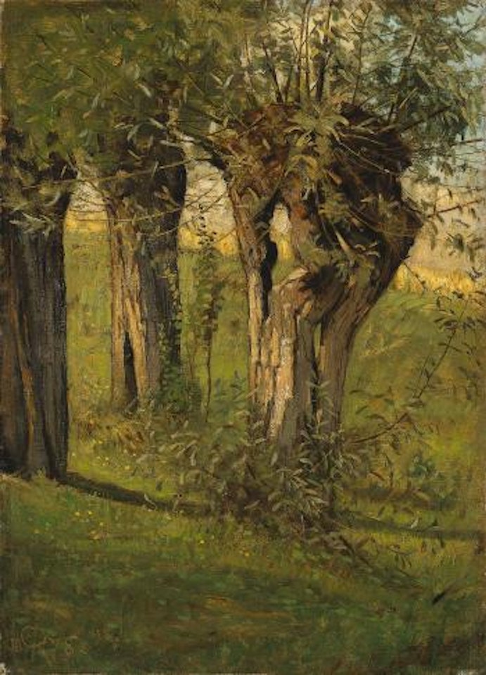Weiden in der sonne by Christian Rohlfs