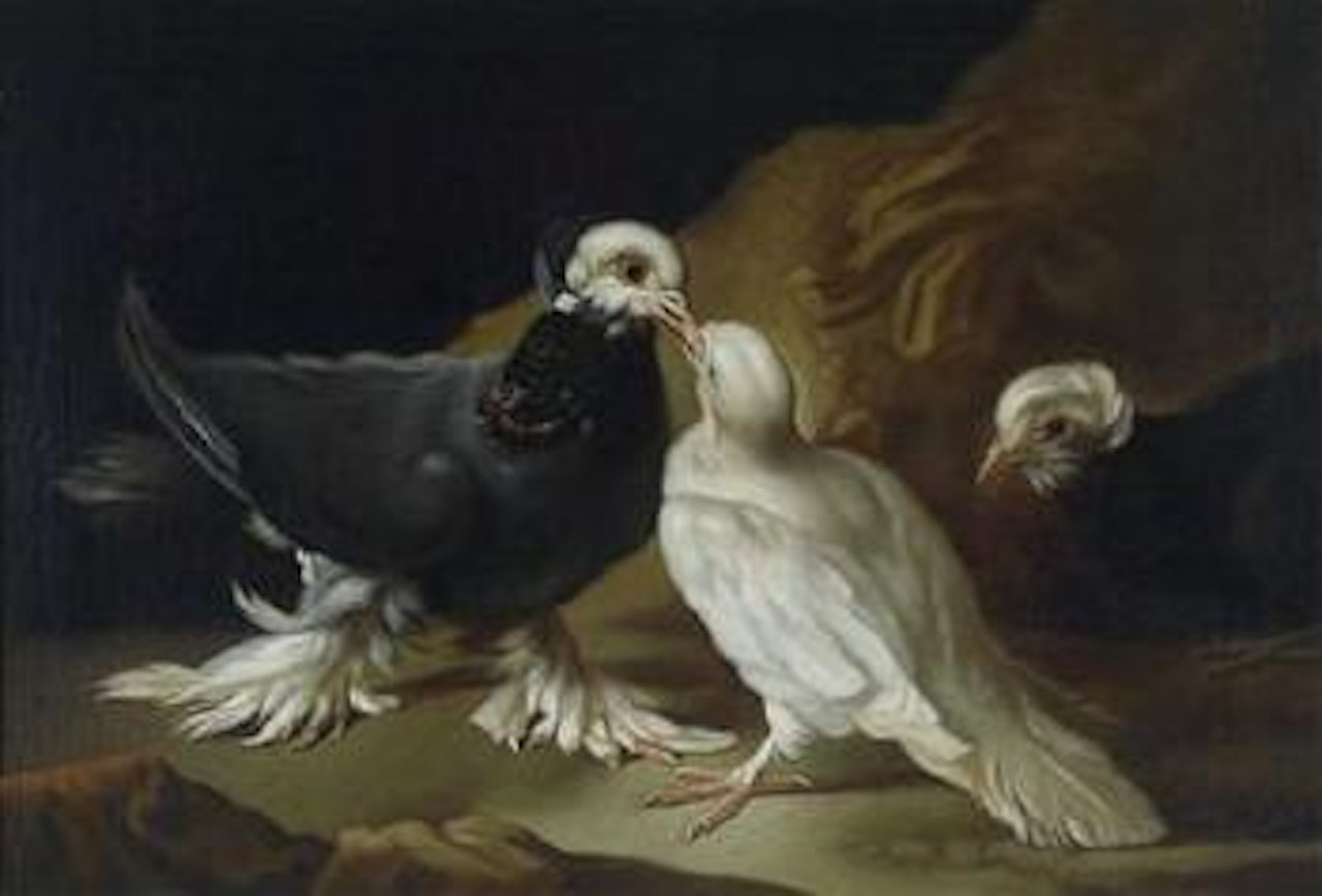 Two doves by Franz Werner von Tamm