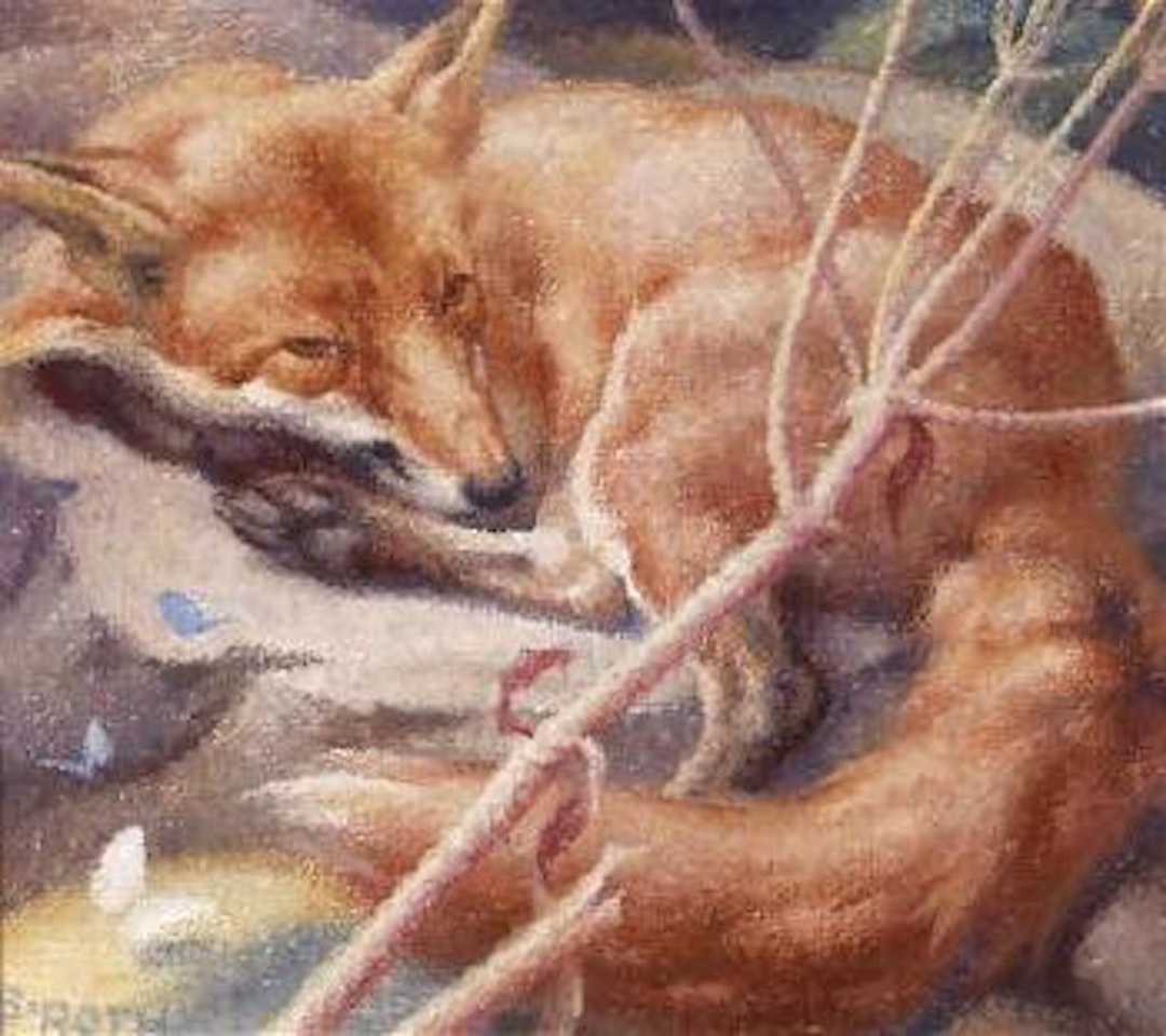 Resting fox by Norbertine Bresslern-Roth