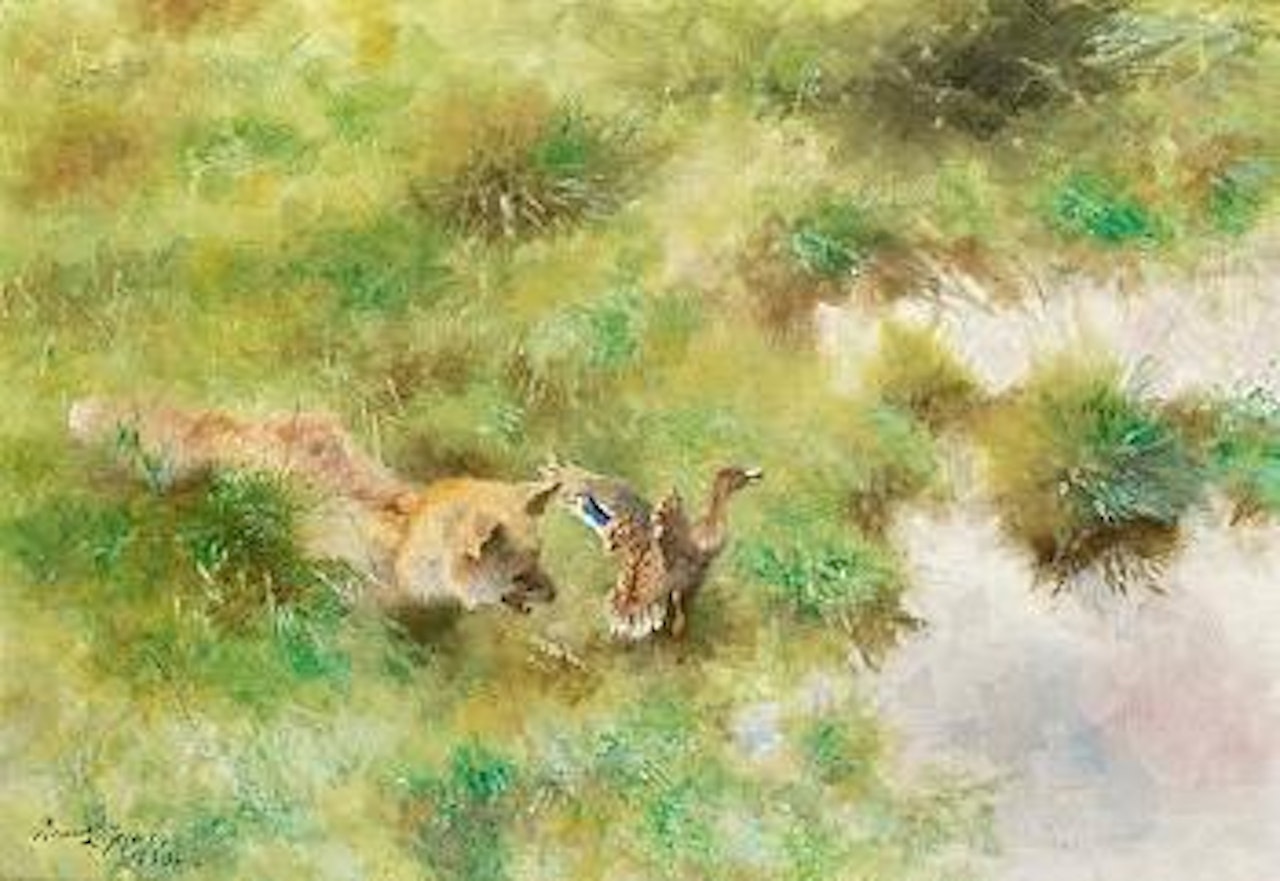 Fox and mallard by Bruno Liljefors