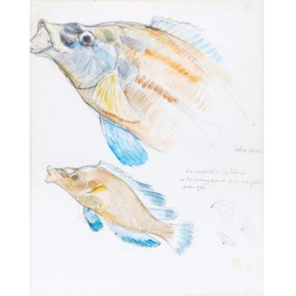 Two fish by Theo van Rysselberghe