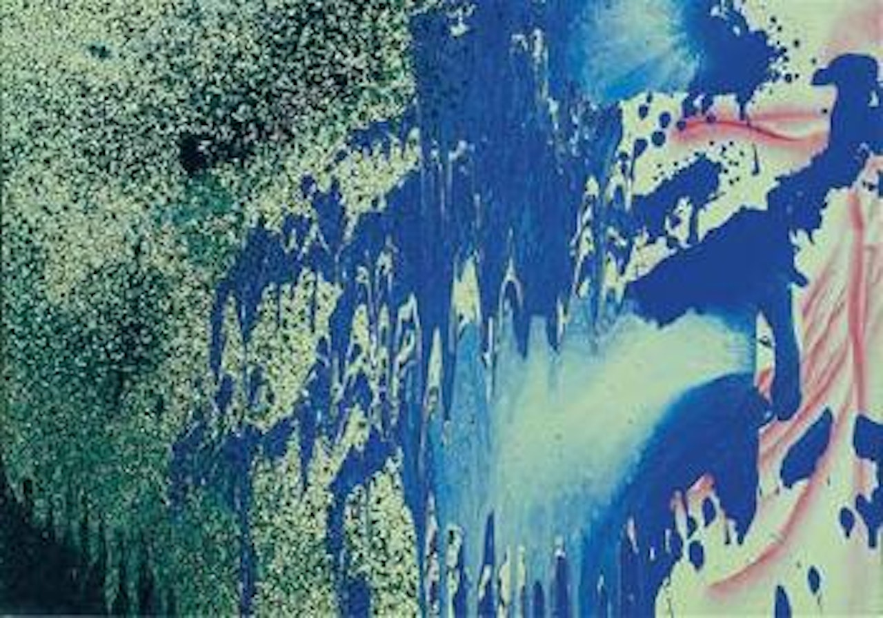 T 1988-E 28 by Hans Hartung