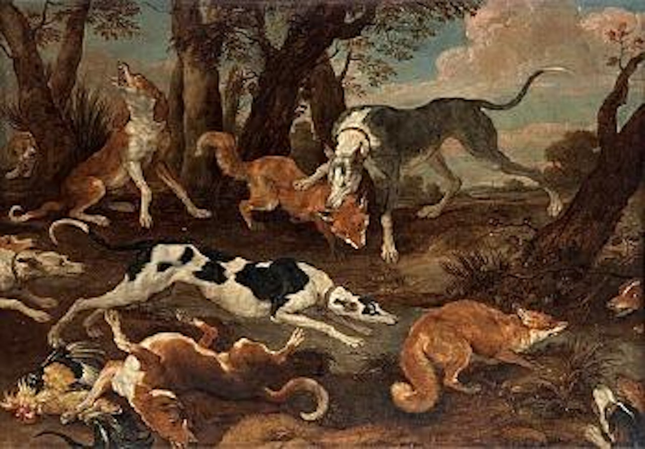 Dogs attacking foxes by Paul de Vos