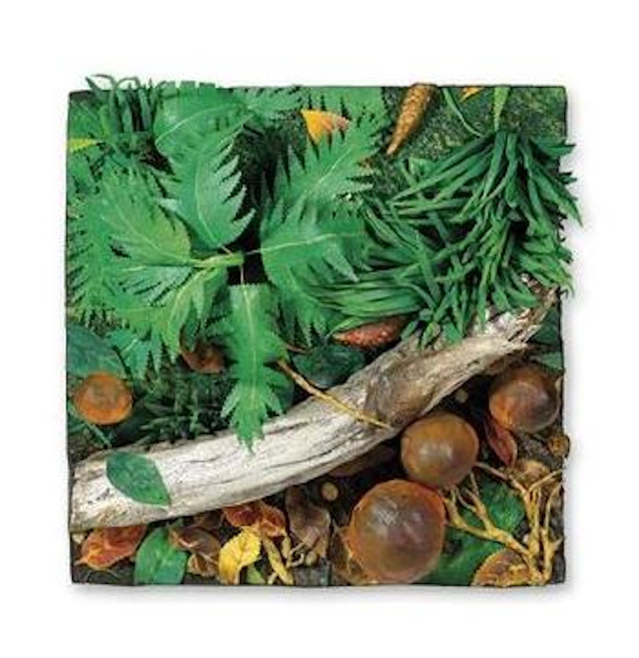 Felci e funghi by Piero Gilardi