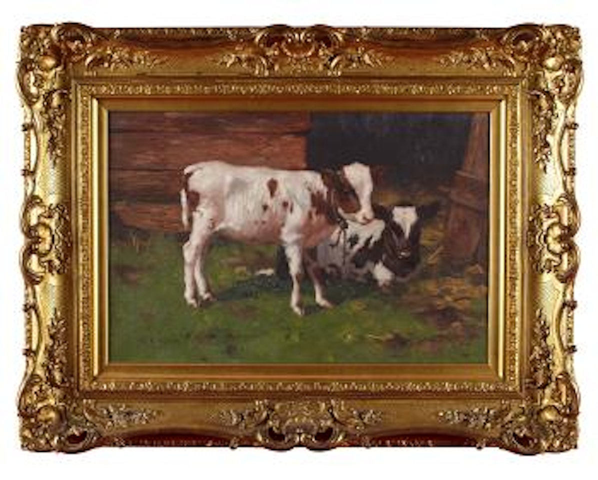 Calves by a byre by David Gauld