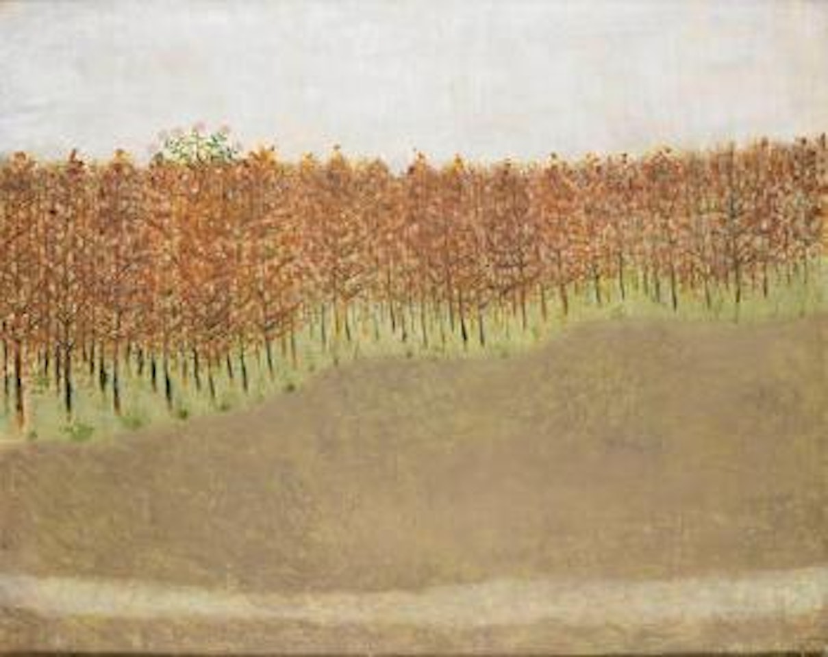 Poplars by Mary Newcomb