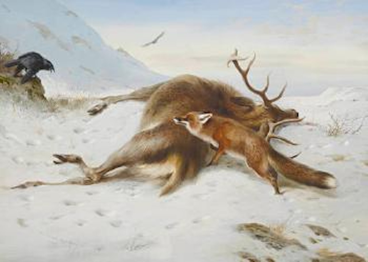 Not for the larder by Archibald Thorburn