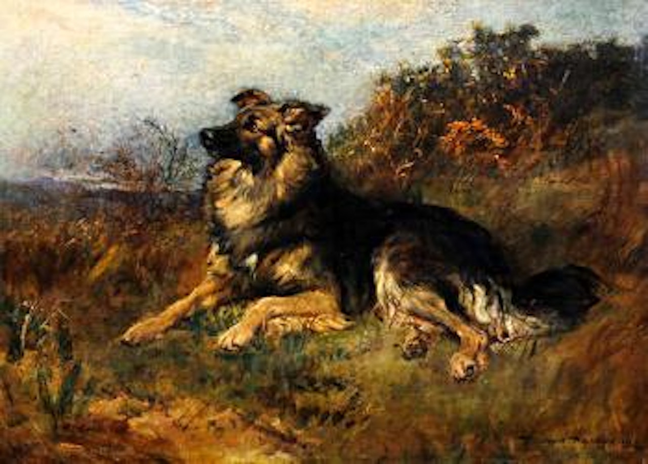 A dog seated on a grassy bank, possibly a collie by Heywood Hardy