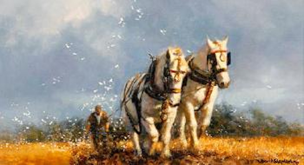 The plough team by David Shepherd