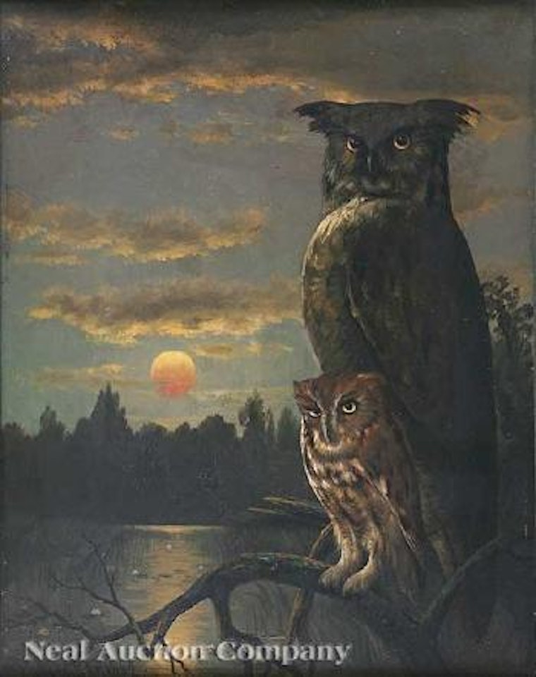 Great horned owl and fledgling at dusk by Joseph R. Meeker