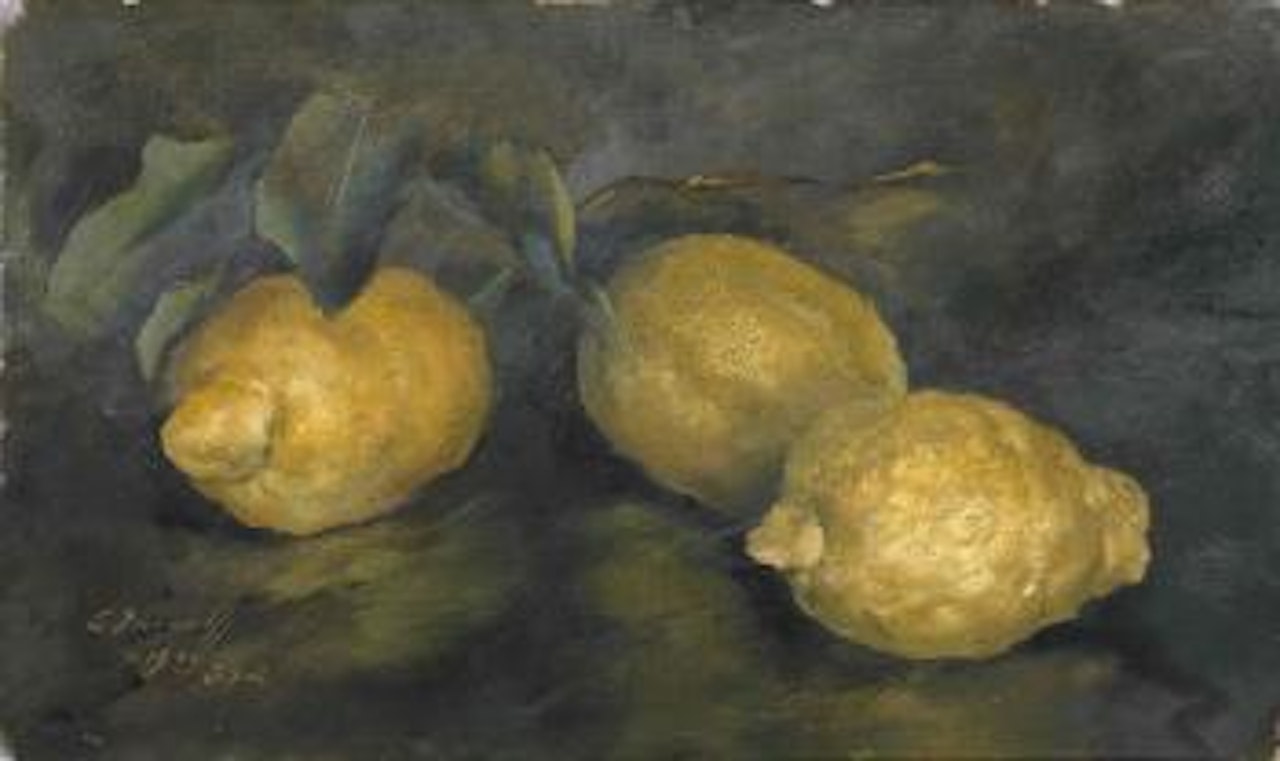 Citrons by Alexander Evgenievich Yakovlev