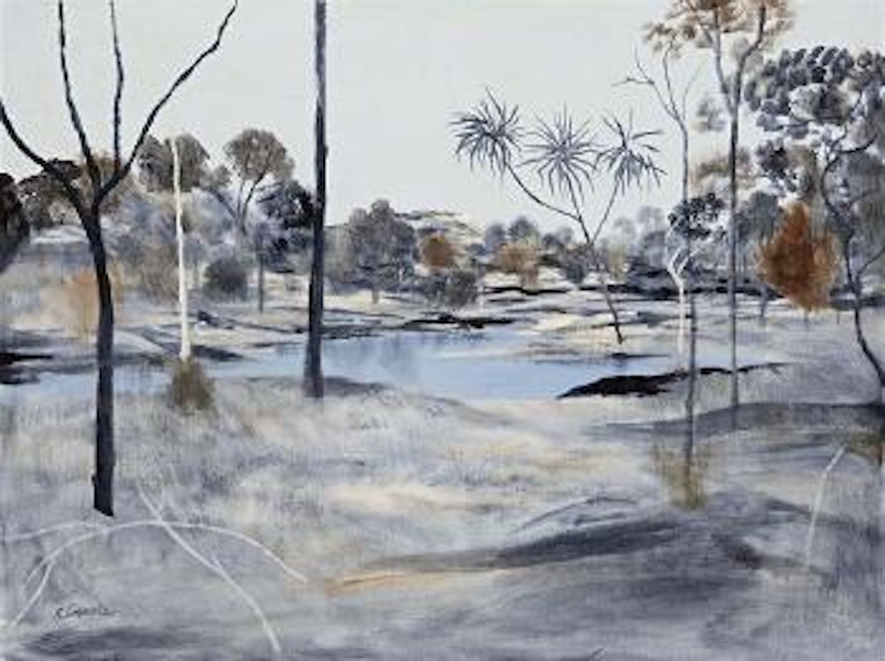 North Queensland landscape by Ray Austin Crooke