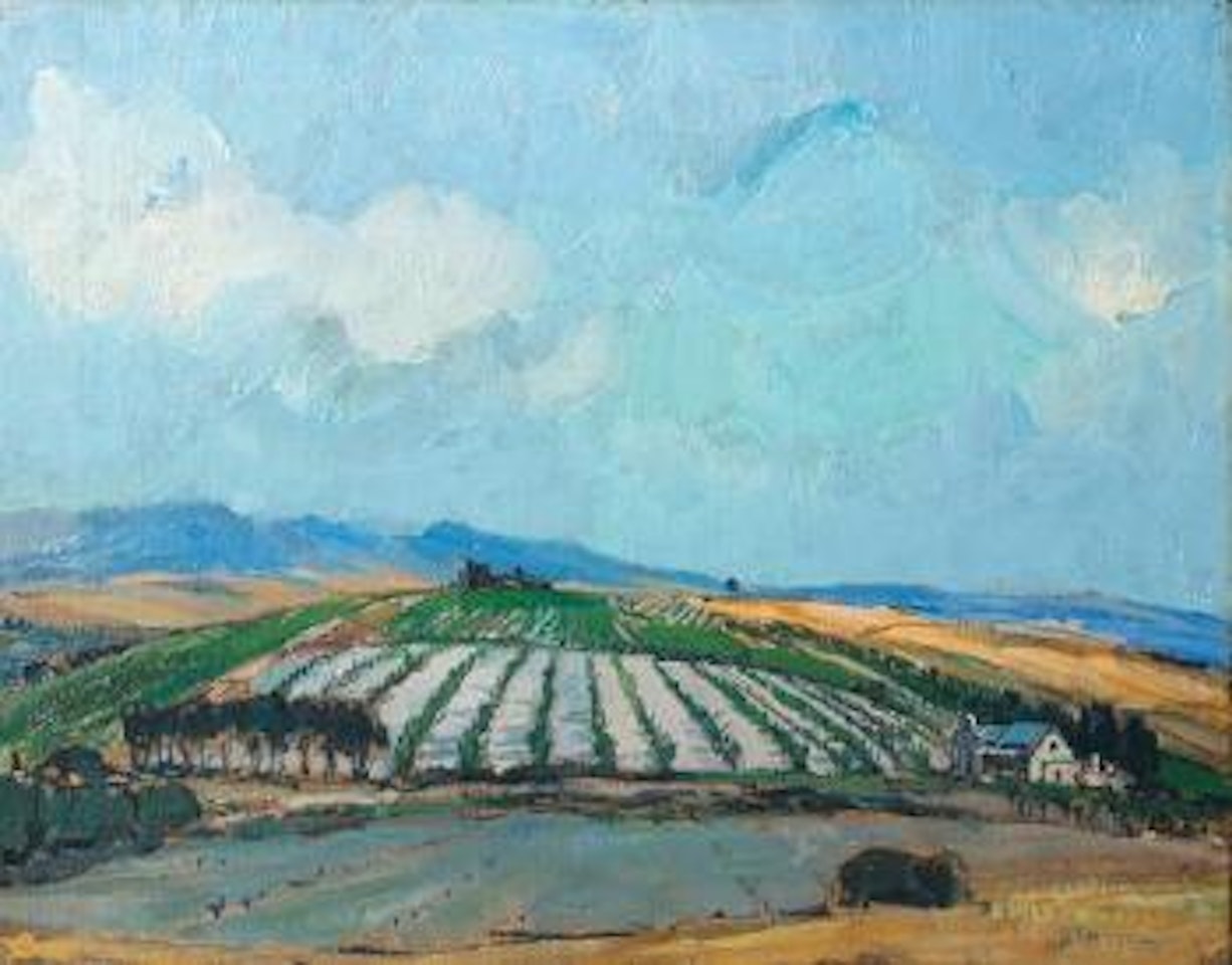 Plaas, Wellington (Wellington cultivated fields) by Pieter Wenning