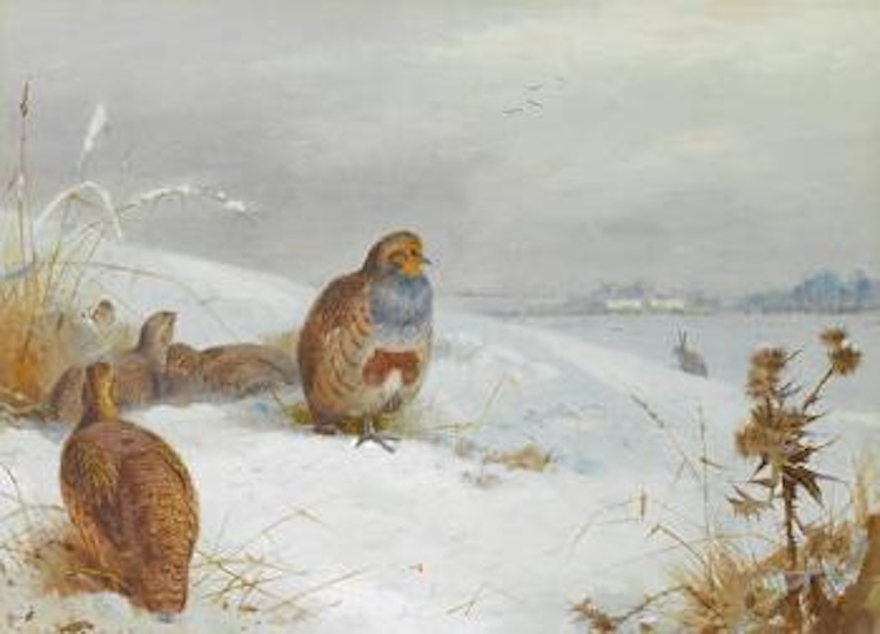 Hard times - partridges and a hare by Archibald Thorburn