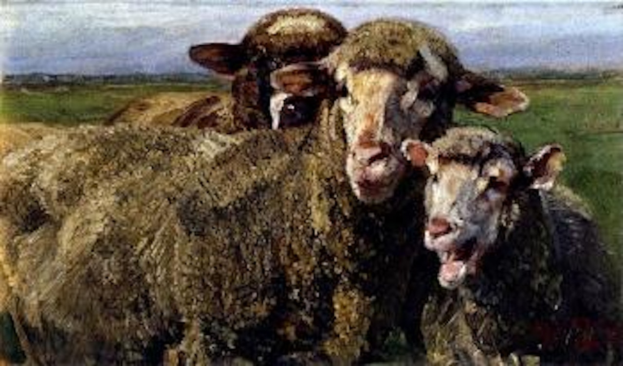 Drei Schafe by Heinrich von Zugel