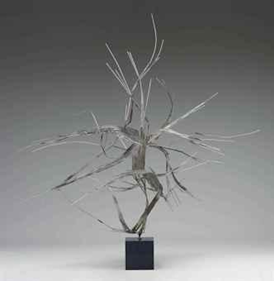 Raumplastik - Espace Conquis by Norbert Kricke