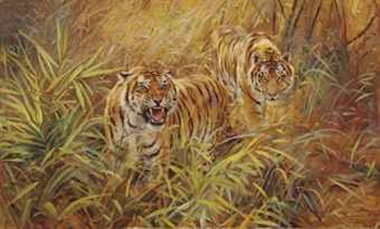 Two tigers by Donald Grant