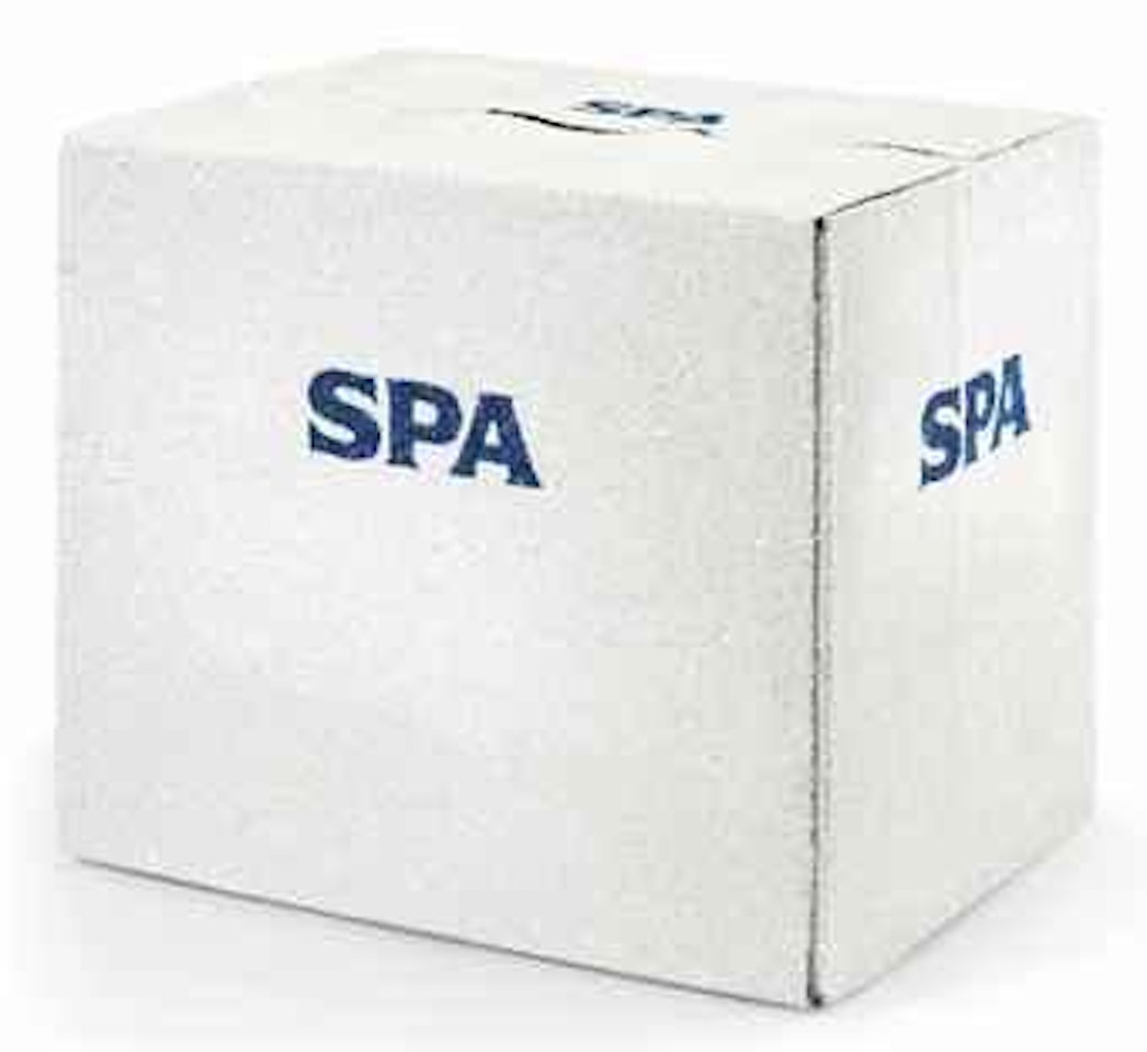 Un Carton De Spa by Rob Pruitt