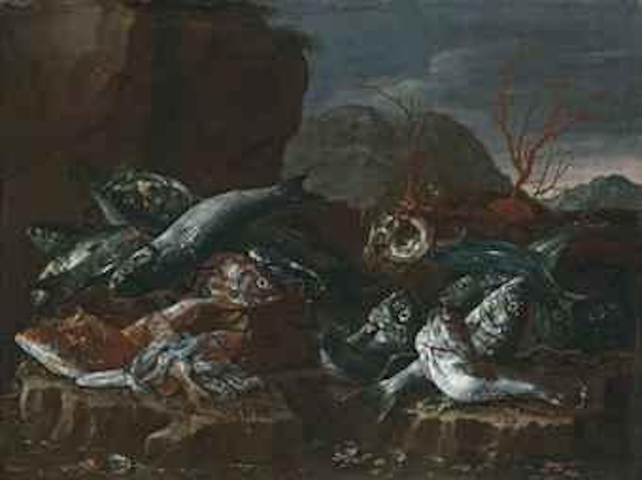 Fish, shells and coral on a rocky shore by Giuseppe Recco