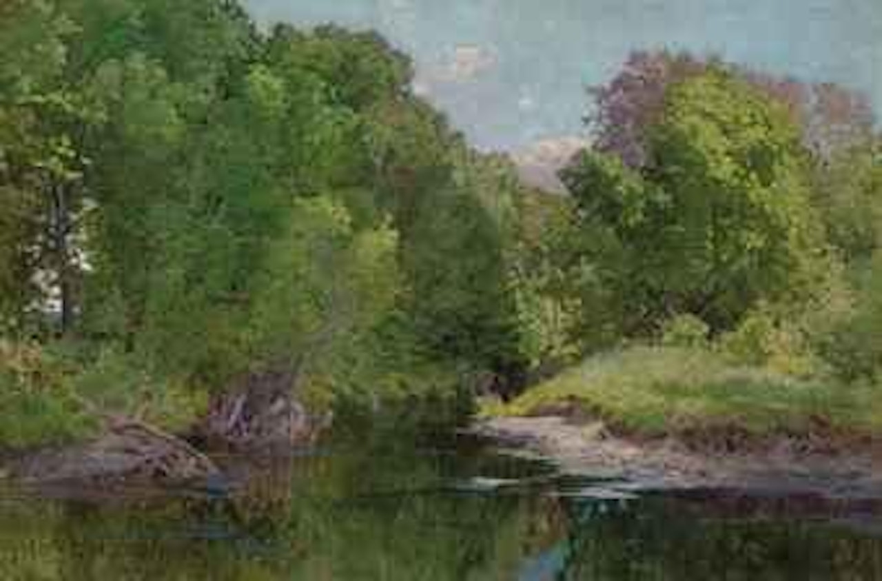 Une rivière tranquille by Leon Tanzi