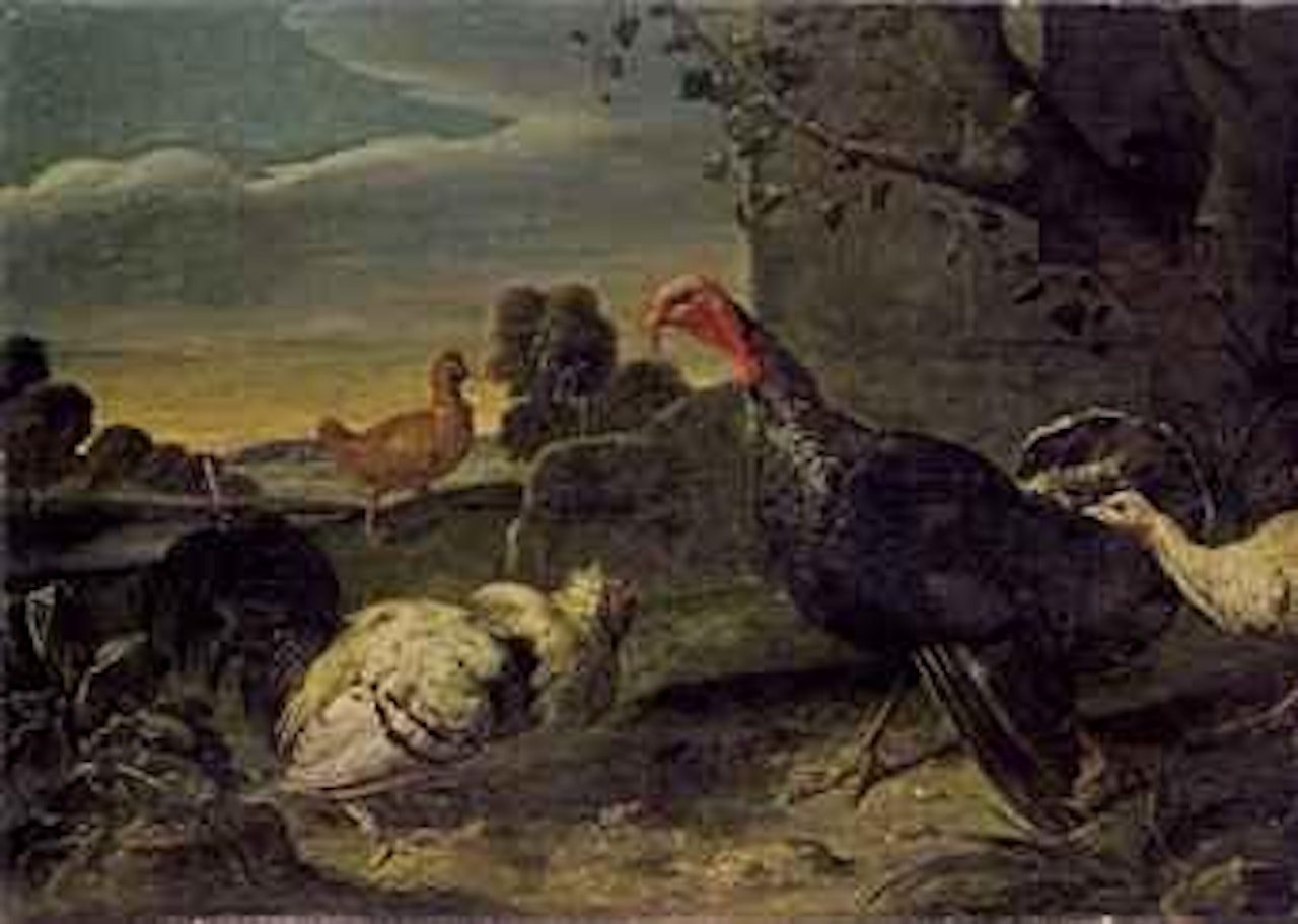 Dindons et poules by Adriaen van Utrecht